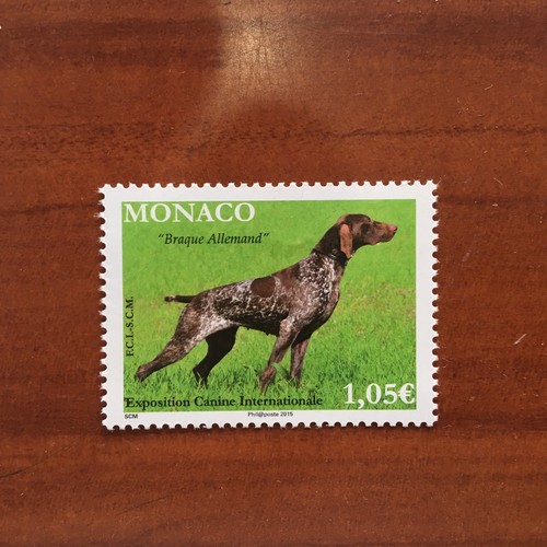 Monaco num 2963 - 2963, cane