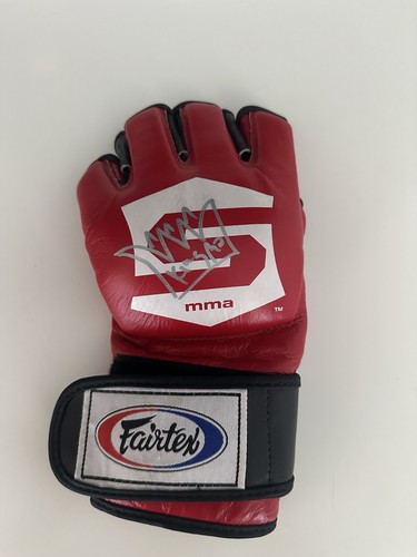 Guanto fairtex strikeforce - guanto,