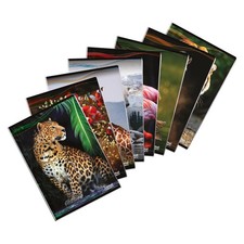 Blasetti animal maxi - blasetti,