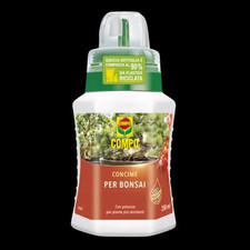 Concime per bonsai Liquido COMPO - Ficus ginseng, Carmona e molti altri 250ml