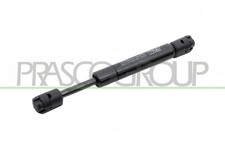 Gasdamper Posteriore Della