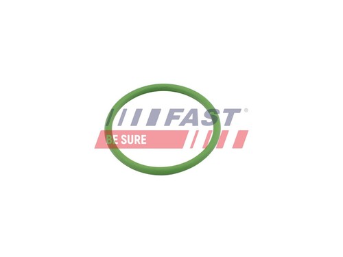 Fast ft48803 - fast,