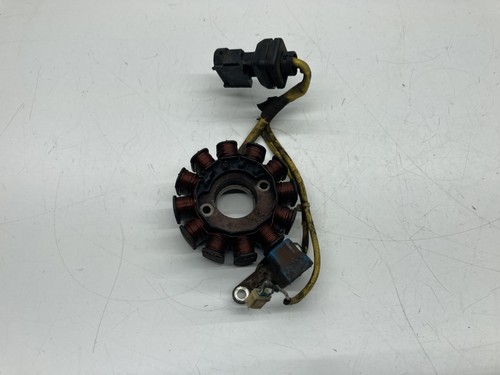 Statore alternatore magnete - statore,