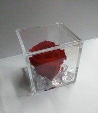 Rosa Rossa Stabilizzata Eterna