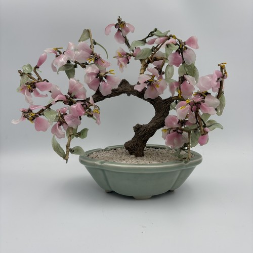 Bonsai fiore ciliegio rosa - bonsai,
