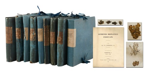 Lichenes britannici exsiccati - britannici,