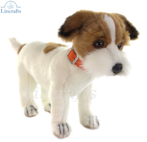 Hansa jack russell - jack,