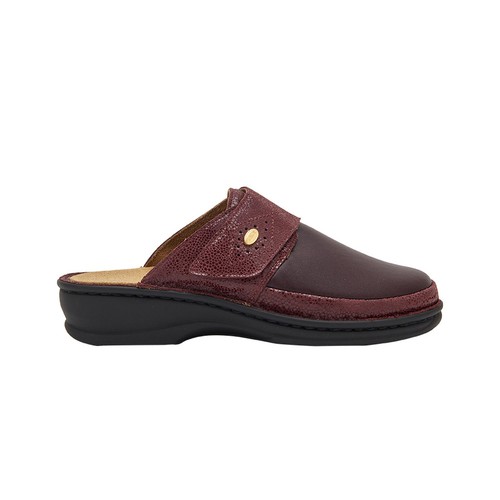 Scholl roberta bioprint - dr,