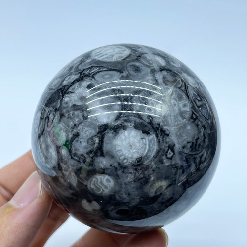 Sfera quarzo conchiglia - di,