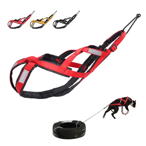 Pettorina per cani riflettente - pettorina,