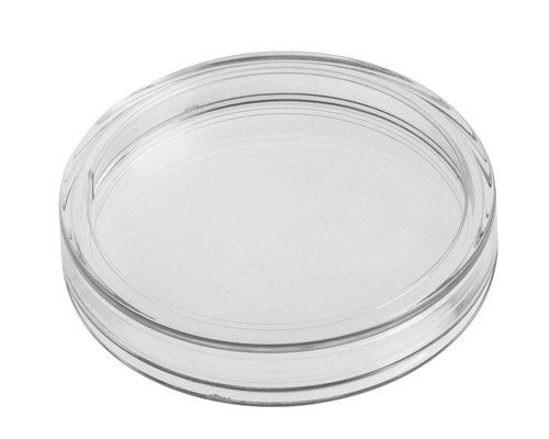 Capsula moneta coin - capsula, moneta/coin