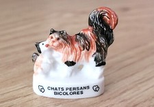 Fava - Gatti Persiani Bicolore