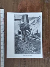 Carnia (Udine) ritratto di