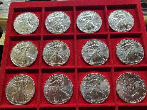 2011 usa dollaro american - usa,