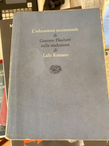 Educazione sentimentale di - l'educazione,