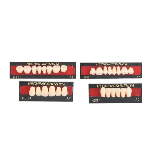 Denti finti della protesi - della,