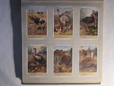 CHROMOS LIEBIG - s�rie n�1580 complete  1953 Oiseaux coureurs