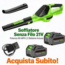 Soffiatore foglie - 🌿,
