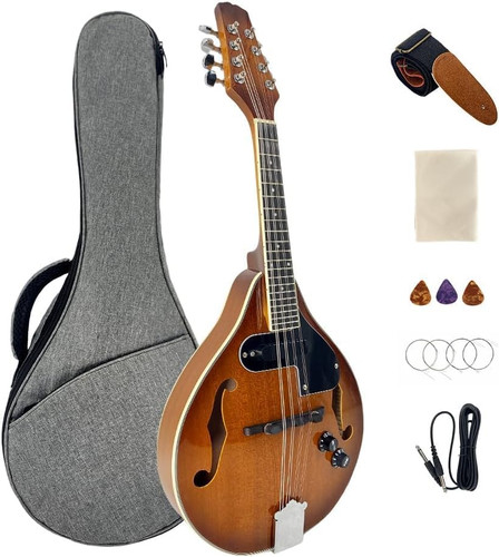 Mandolino elettrico acustico - mandolino,