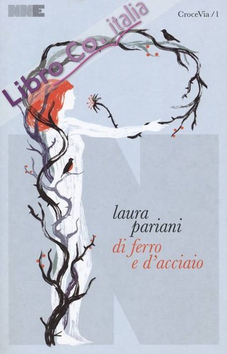 Ferro acciaio pariani - e, d'acciaio