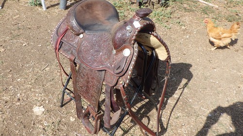 Western saddle equitation show - saddle,