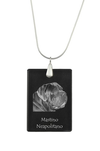 Mastino napoletano - napoletano,,