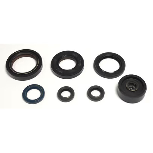 Serie paraolio motore yamaha - paraolio,