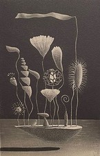 Shigeo Risho "soft air current