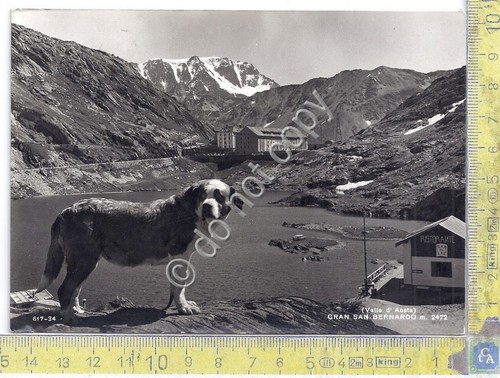 Cartolina postcard gran - -,