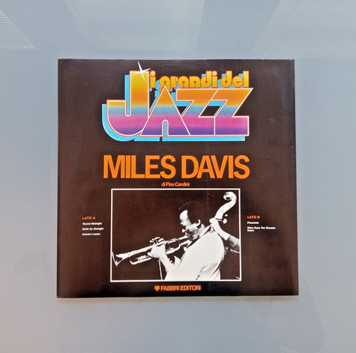 Disco vinile giri - disco, 12''-