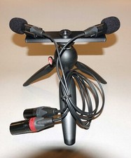 Coppia Microfoni AOM5024 -