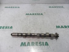 Albero a camme Fiat Panda 169