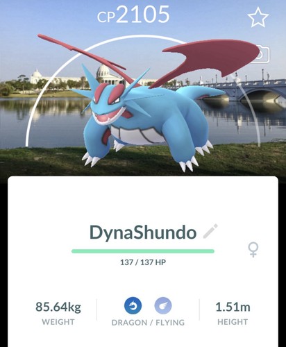 Pokemon salamence sfondo - pokemon, go