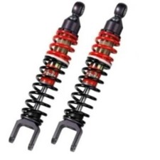 Coppia ammortizzatori