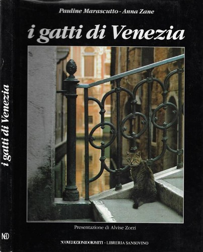Gatti venezia pauline - gatti, venezia.