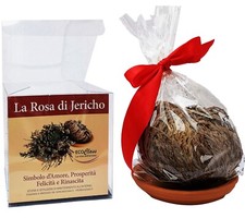 Rosa di Jericho confezionata
