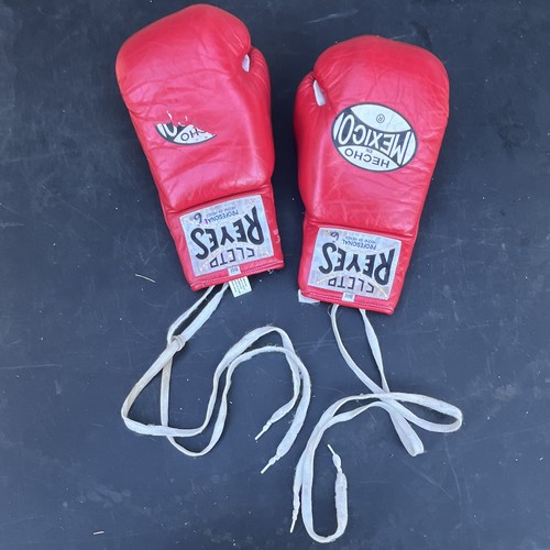 Guanti boxe cleto reyes - guanti,