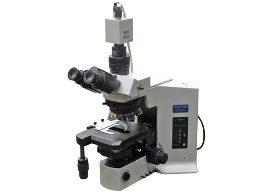 Olympus bx51trf microscopio - bx51trf,