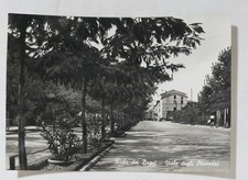 77922 Cartolina - Ravenna - Riolo Terme - viale degli oleandri - VG 1957