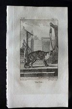 Stampa antica orafo 1779