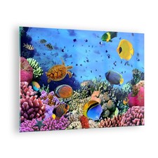 Quadro su Vetro 70x50cm