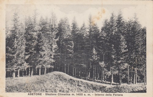 Cartolina abetone pistoia - cartolina,