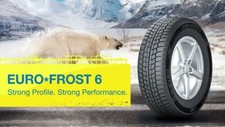 pneumatici DEMO 255 55 R 18
