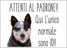 CARTELLO SEGNALETICO - AUSTRALIAN CATTLE DOG ATTENTI AL PADRONE - segnale