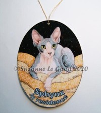 Sphynx Cat in residence art