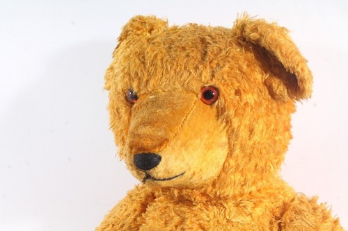 Orsetto giocattolo teddy - orsetto,