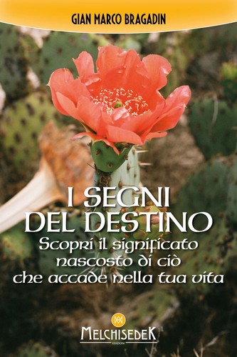 Libro nuovo bragadin gian - bragadin,