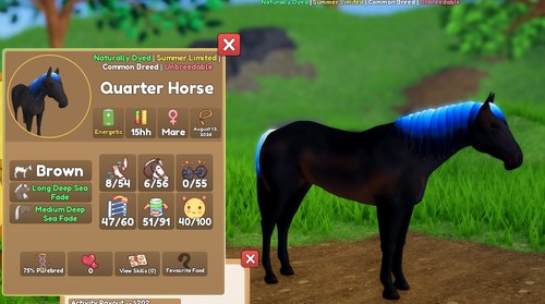Wild horse islands - wild, 🐴