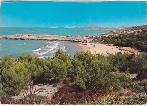 Vieste foggia puntalunga - -,