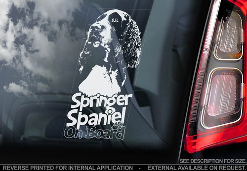 English springer spaniel car - english,